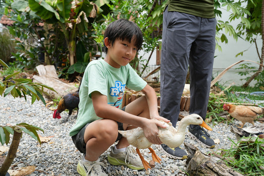 Child gently holding a duck in a garden, surrounded by chickens and greenery for kids' outdoor learning.
