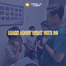 Day at The Vets (Junior)