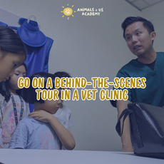 Day at The Vets (Junior)