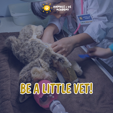 Day at The Vets (Junior)