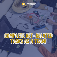 Day at The Vets (Junior)