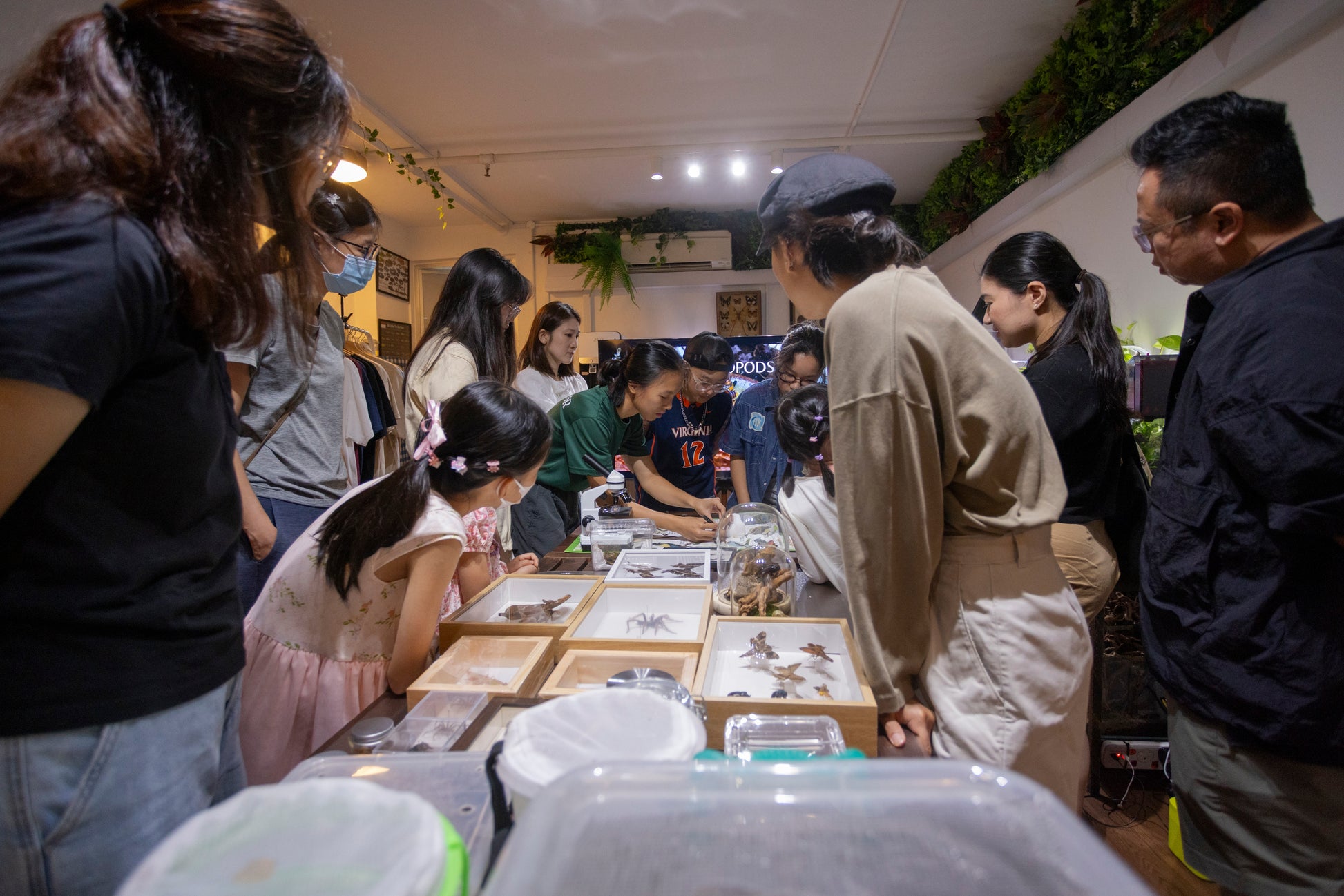 Exploring Insects: A Hands-On Entomology Experience (Indoor)