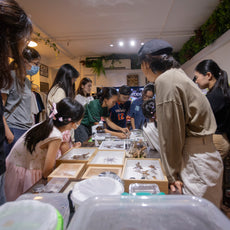 Insect Diorama Workshop: Learn and Create Your Bug World
