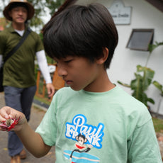 Bee-Friendly Permaculture Tour