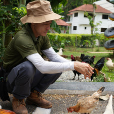 Bee-Friendly Permaculture Tour