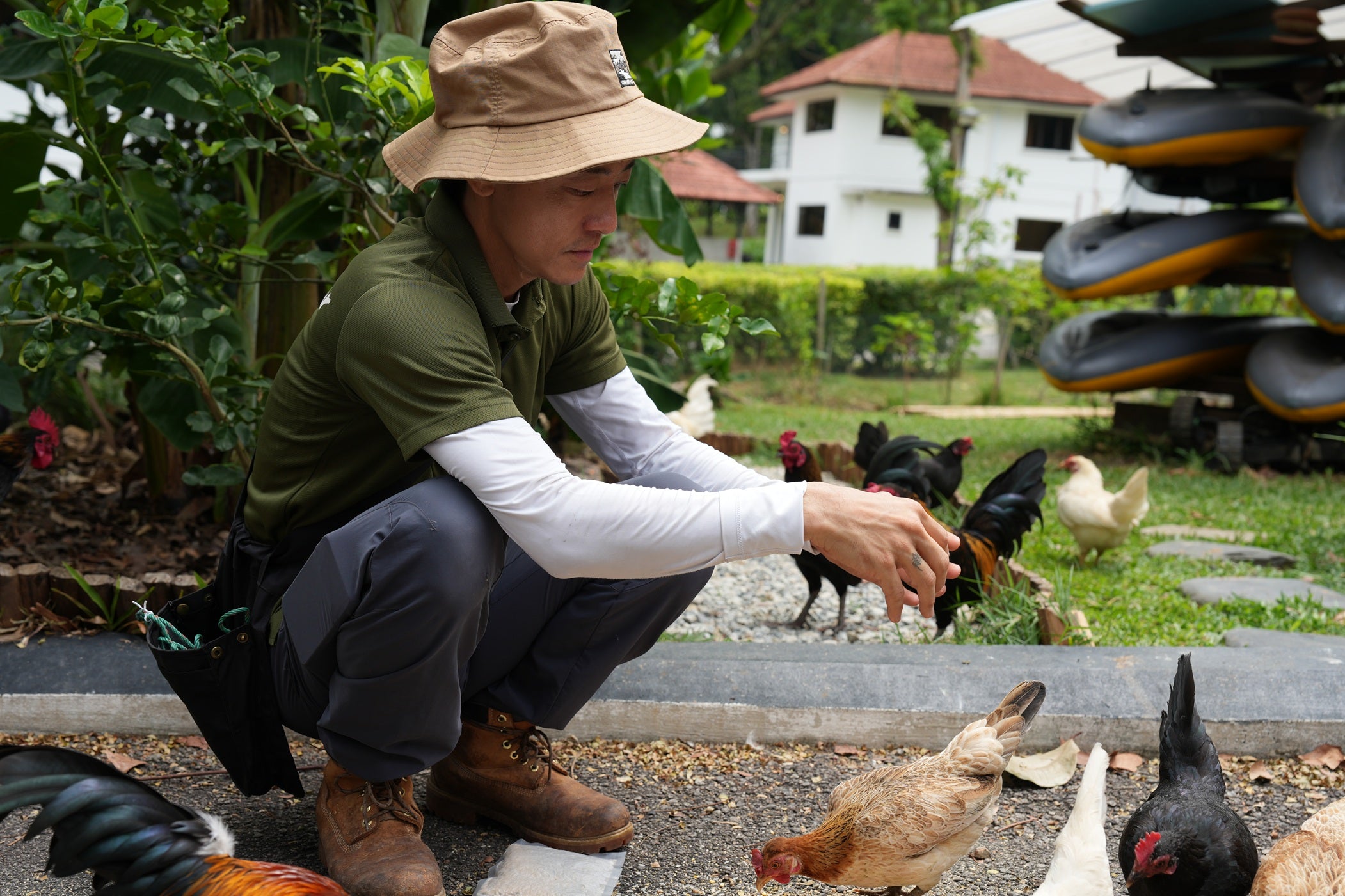 Bee-Friendly Permaculture Tour