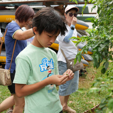 Bee-Friendly Permaculture Tour