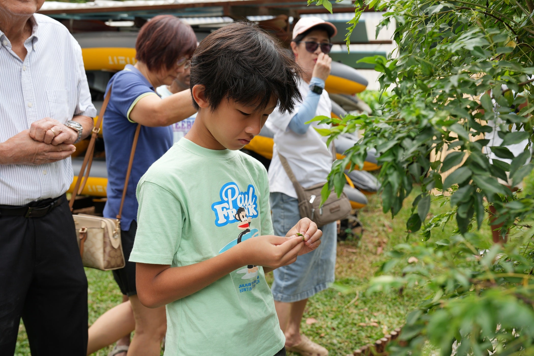 Bee-Friendly Permaculture Tour