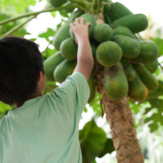 Bee-Friendly Permaculture Tour