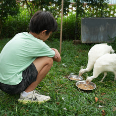 Bee-Friendly Permaculture Tour