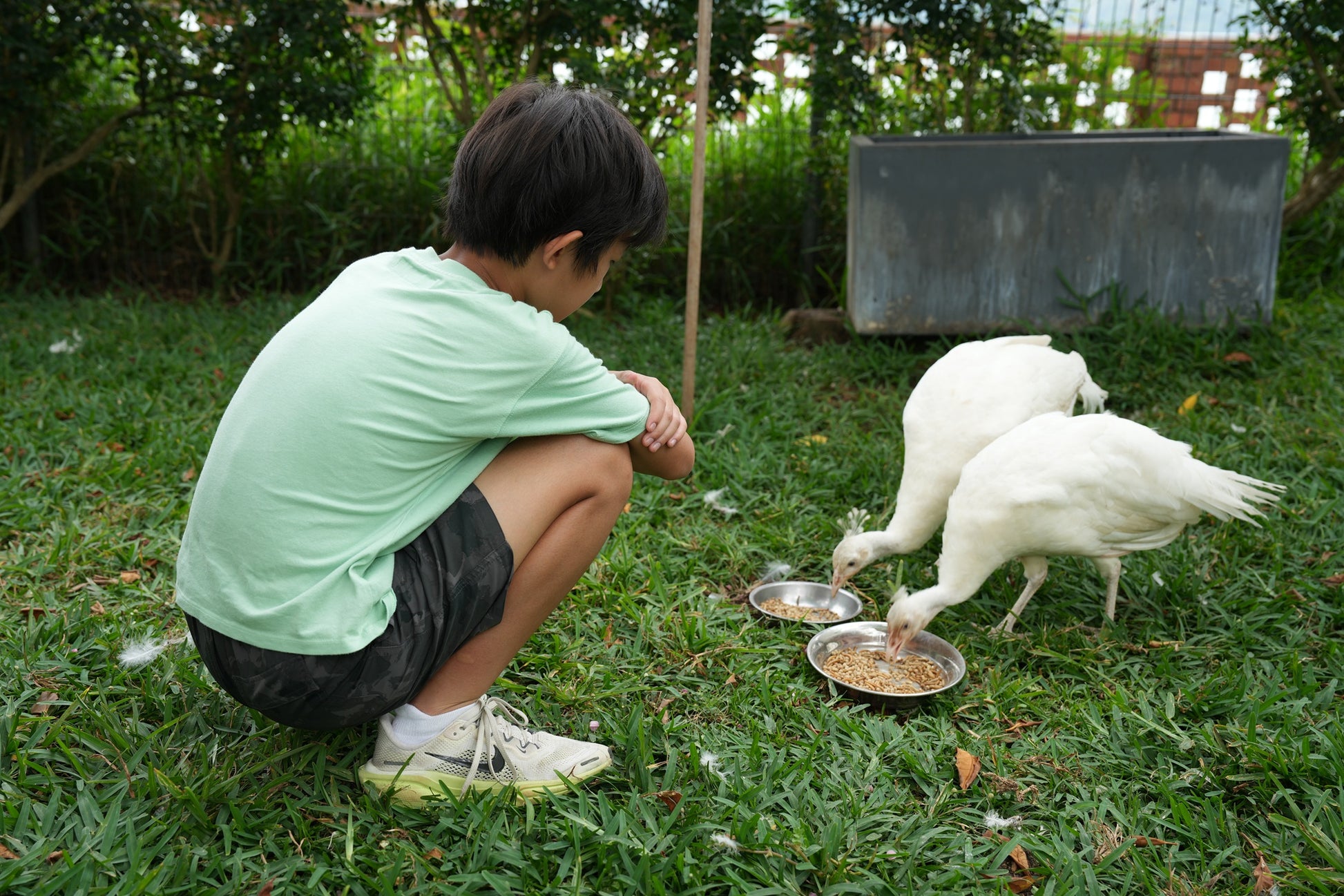 Bee-Friendly Permaculture Tour