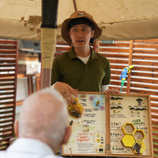 Bee-Friendly Permaculture Tour