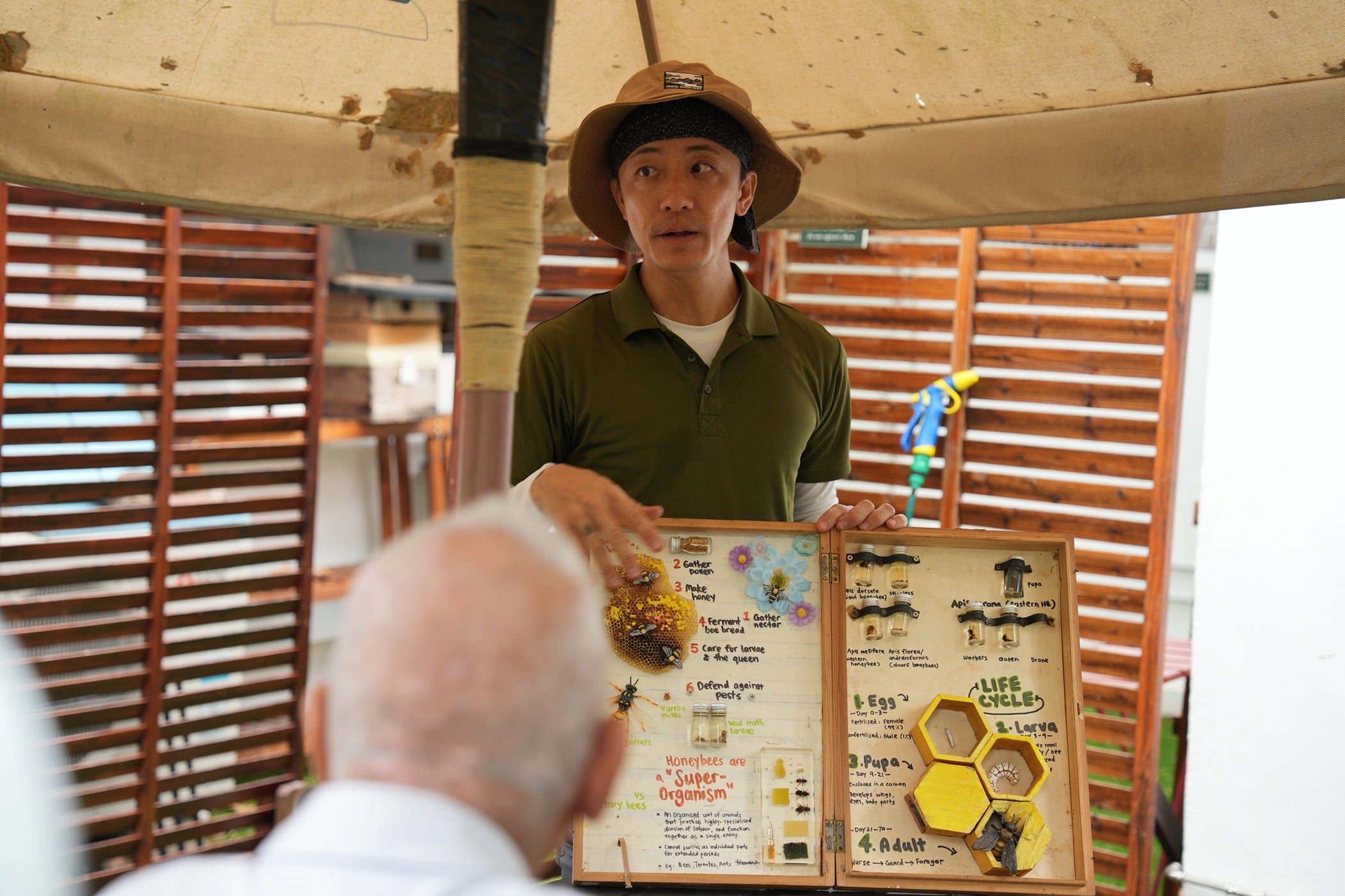 Get up close with nature's secret workers - Bees, Ants & Worms!