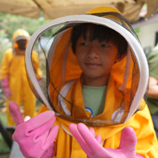 Bee-Friendly Permaculture Tour