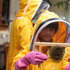 Bee-Friendly Permaculture Tour