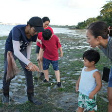 Marine & Nature Discovery Adventure (Pasir Ris Intertidal)