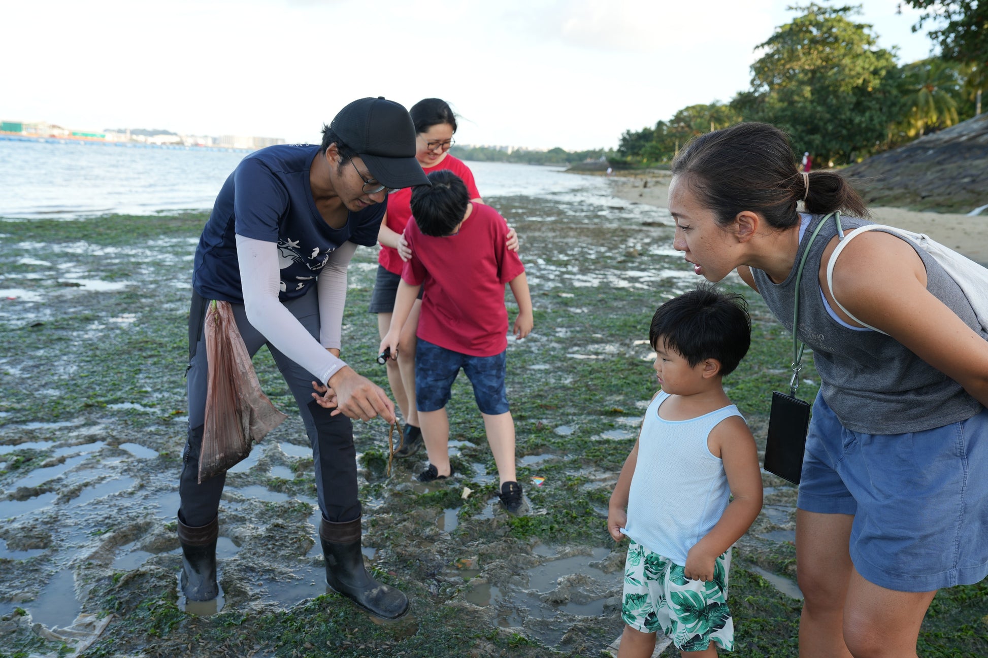 Marine & Nature Discovery Adventure (Pasir Ris Intertidal)