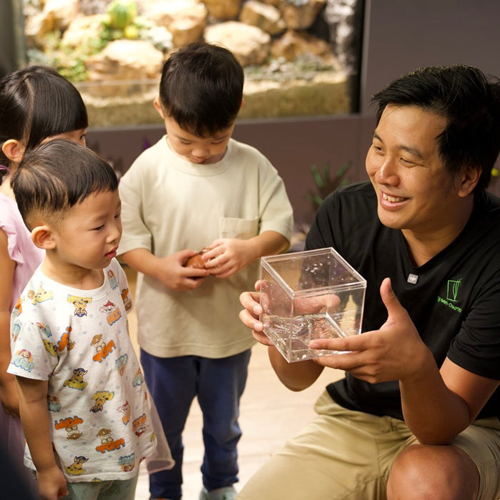 Green Chapter - Little Explorer Nature Science Workshop