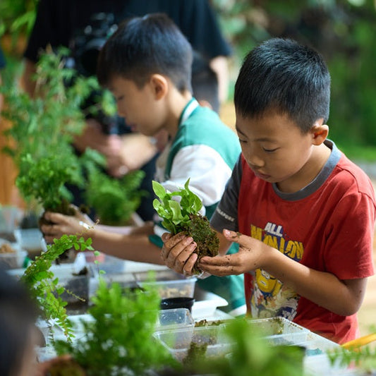 Green Chapter - Little Explorer Nature Science Workshop