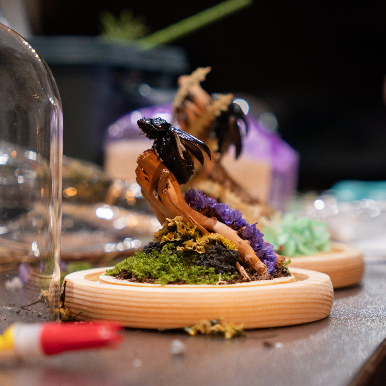 Insect Diorama Workshop: Learn and Create Your Bug World