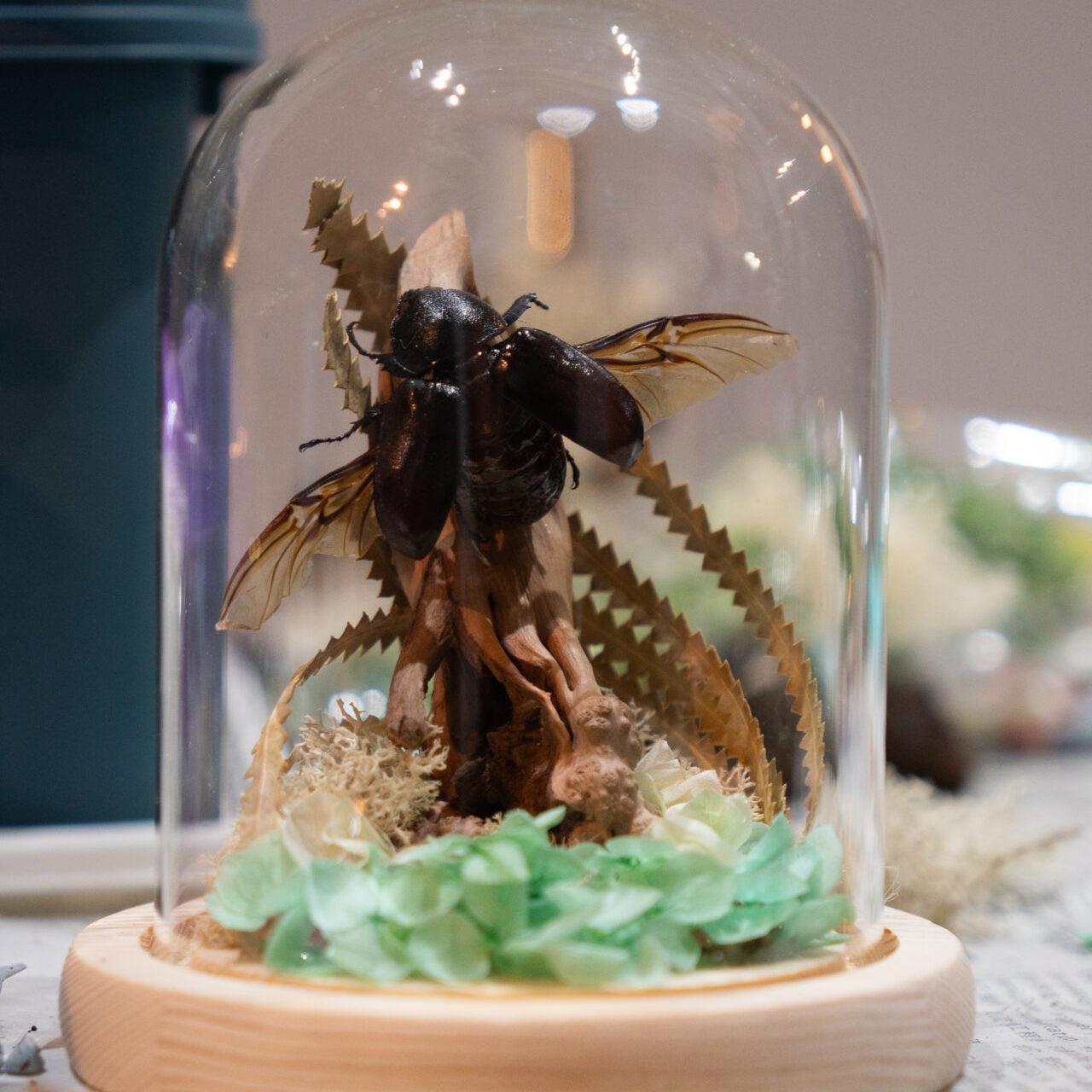 Insect Diorama Workshop: Learn and Create Your Bug World