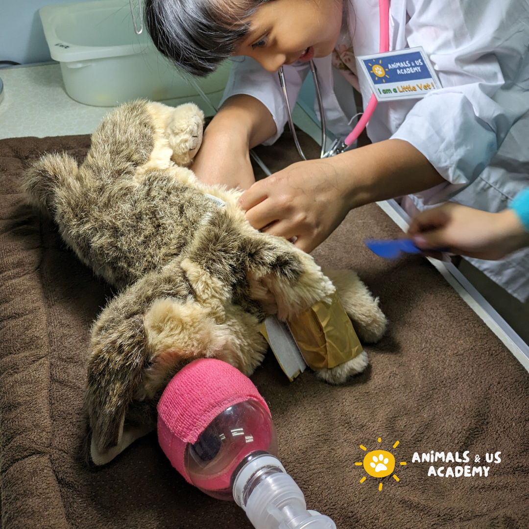 Day at The Vets (Junior)