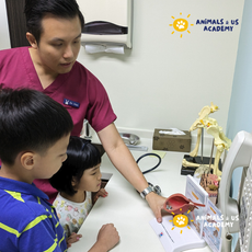 Day at The Vets (Senior)