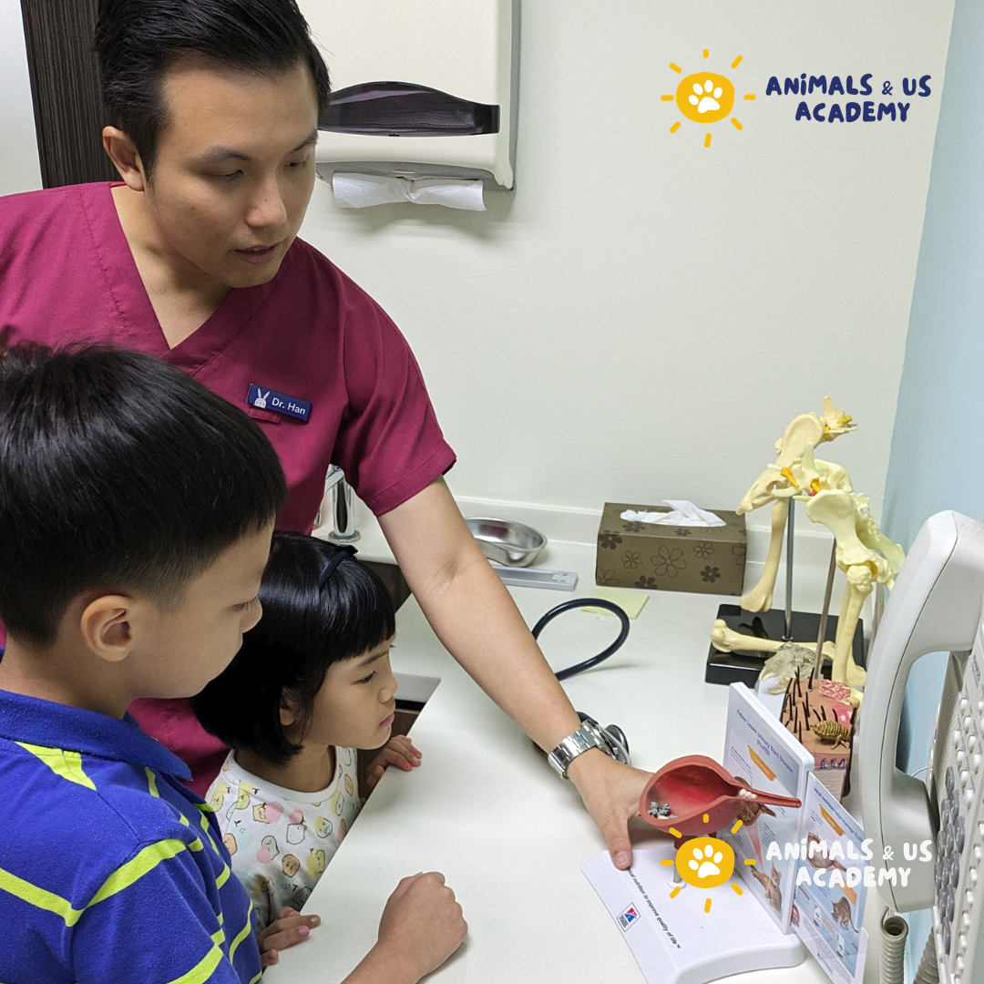 Day at The Vets (Senior)