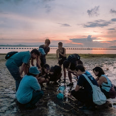Marine & Nature Discovery Adventure (Pasir Ris Intertidal)