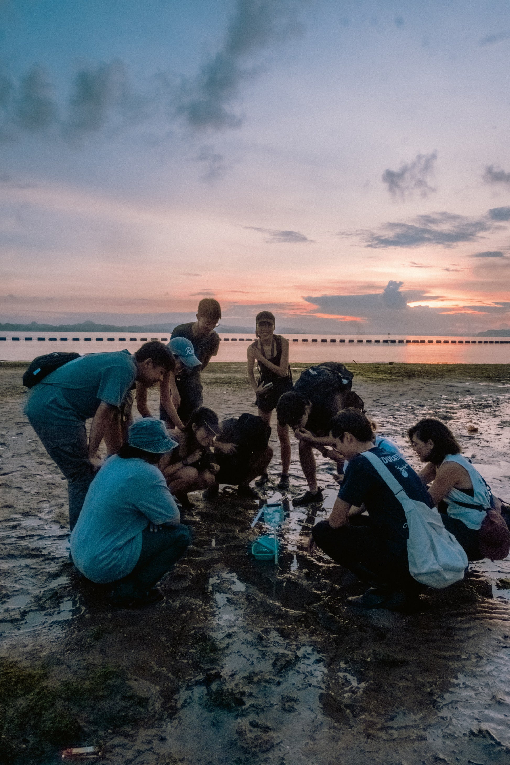 Marine & Nature Discovery Adventure (Pasir Ris Intertidal)