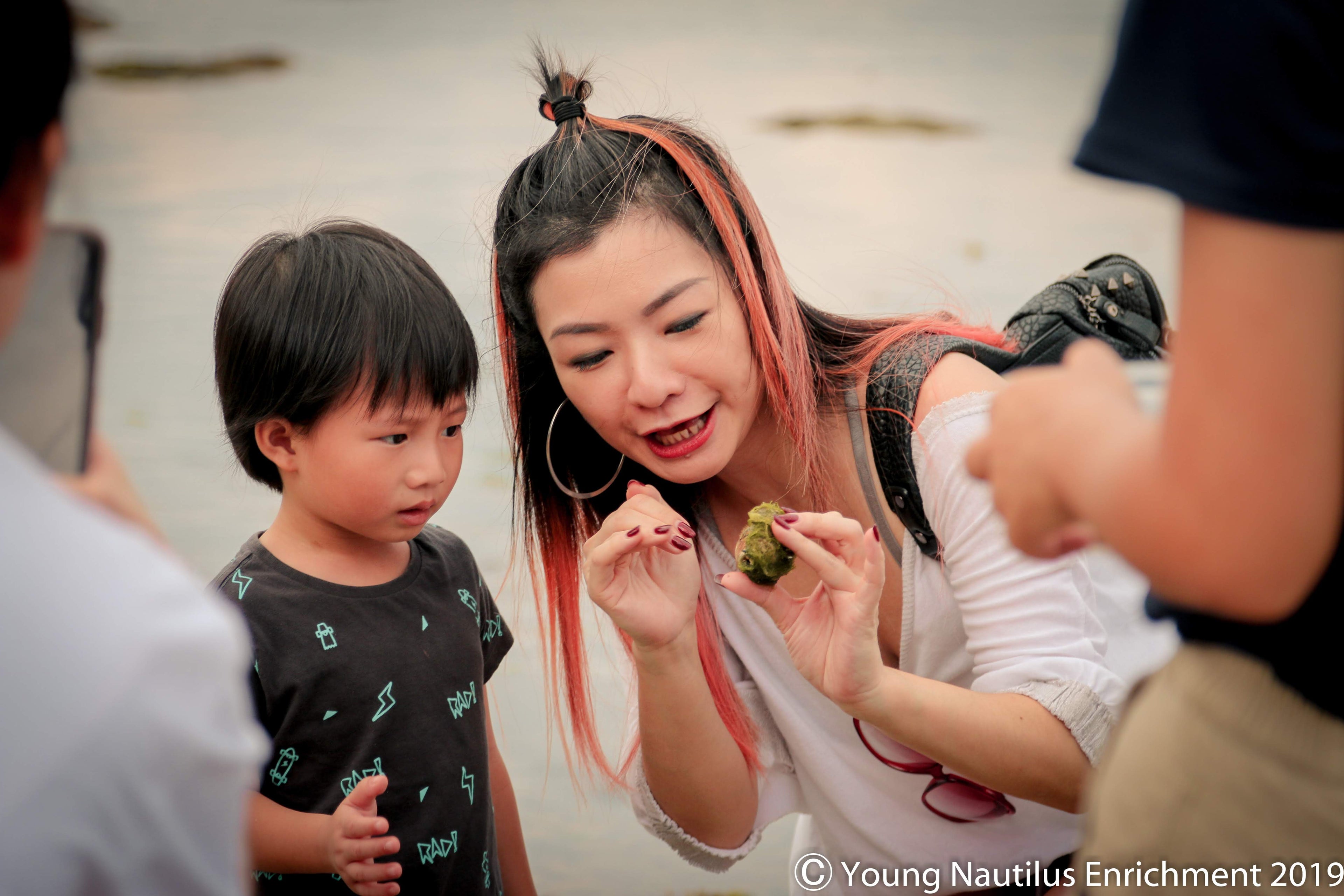 Marine & Nature Discovery Adventure (Changi Intertidal)