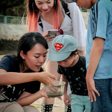 Marine & Nature Discovery Adventure (Pasir Ris Intertidal)