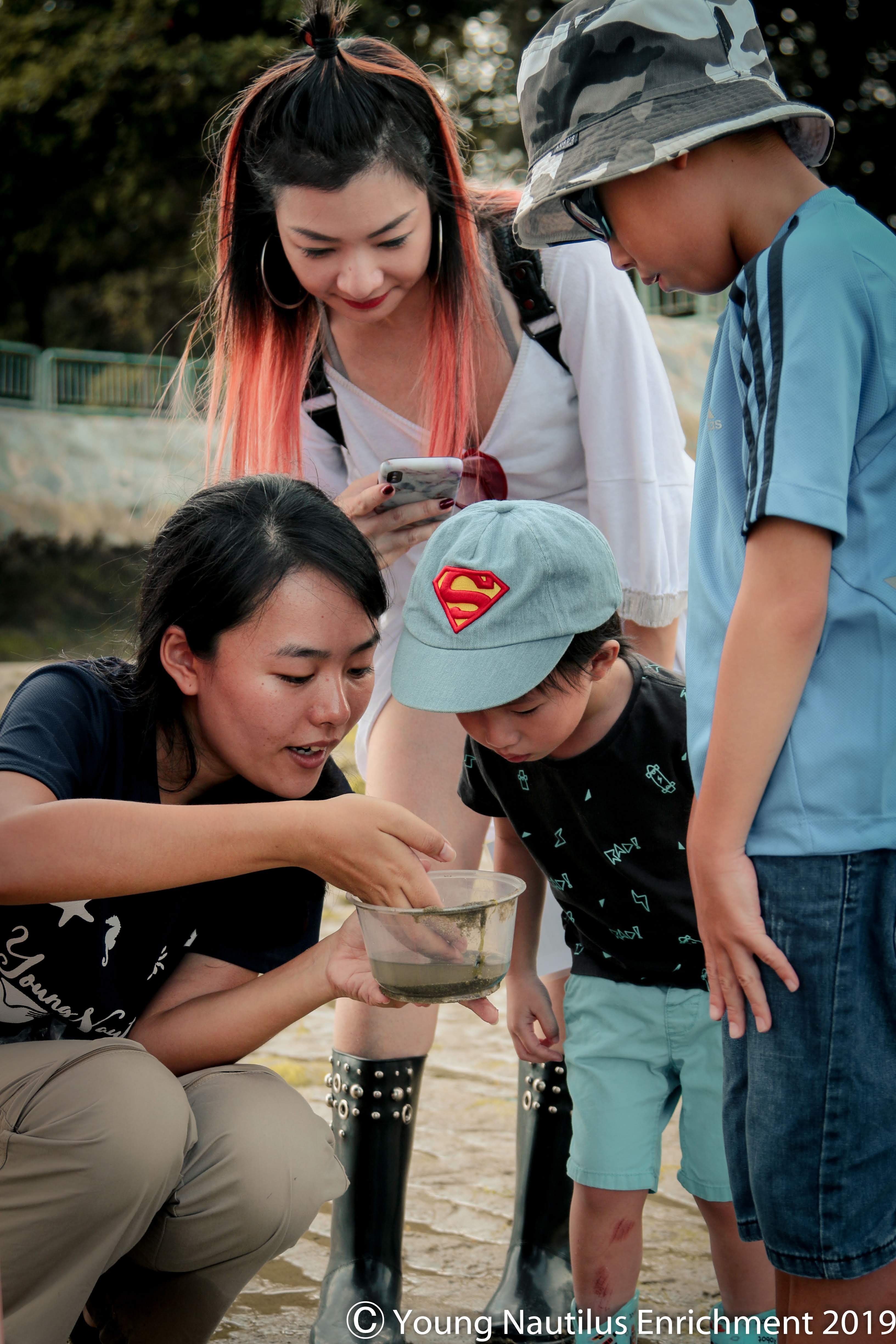 Marine & Nature Discovery Adventure (Pasir Ris Intertidal)