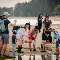 Marine & Nature Discovery Adventure (Changi Intertidal)