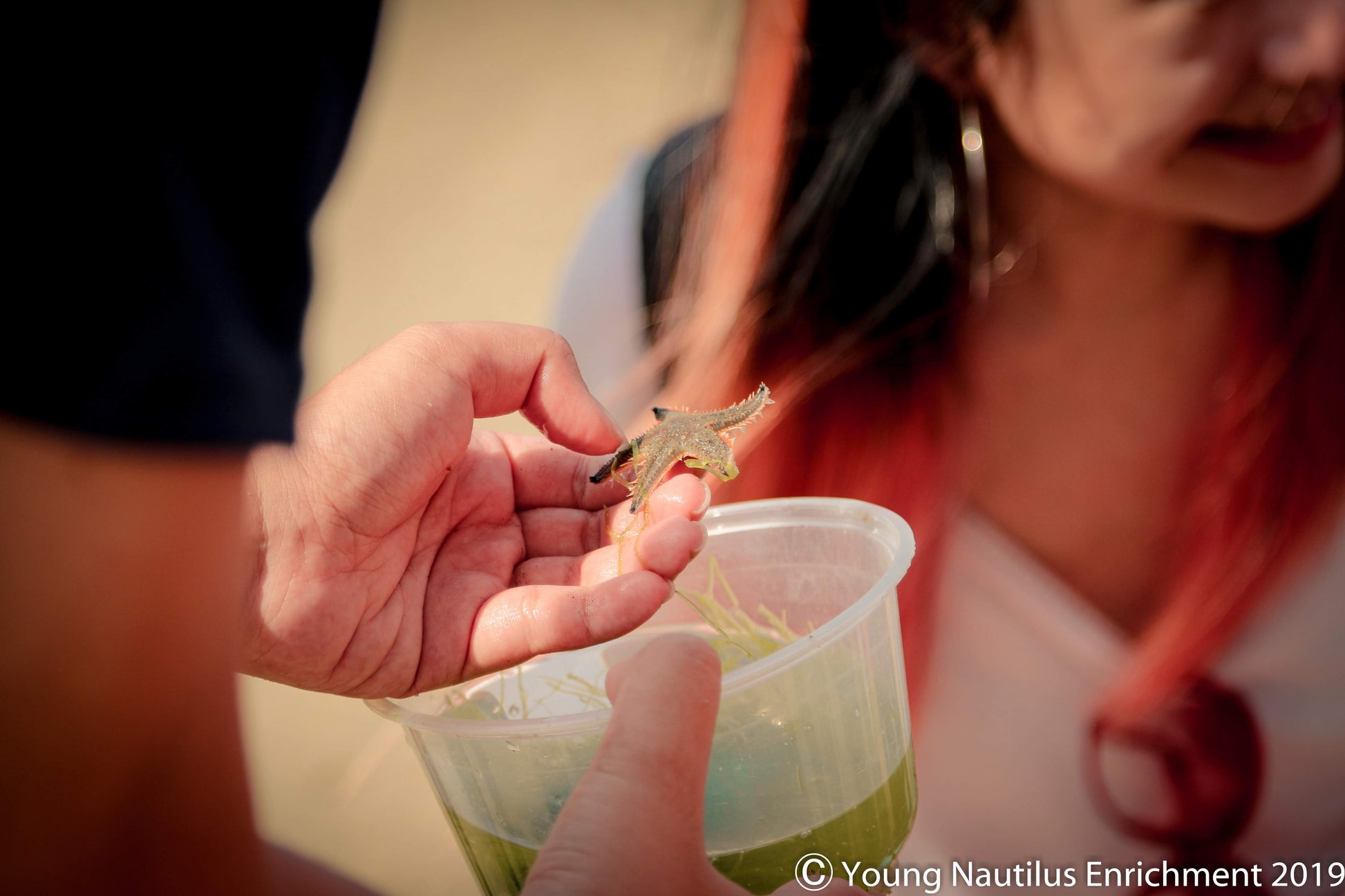 Marine & Nature Discovery Adventure (Changi Intertidal)