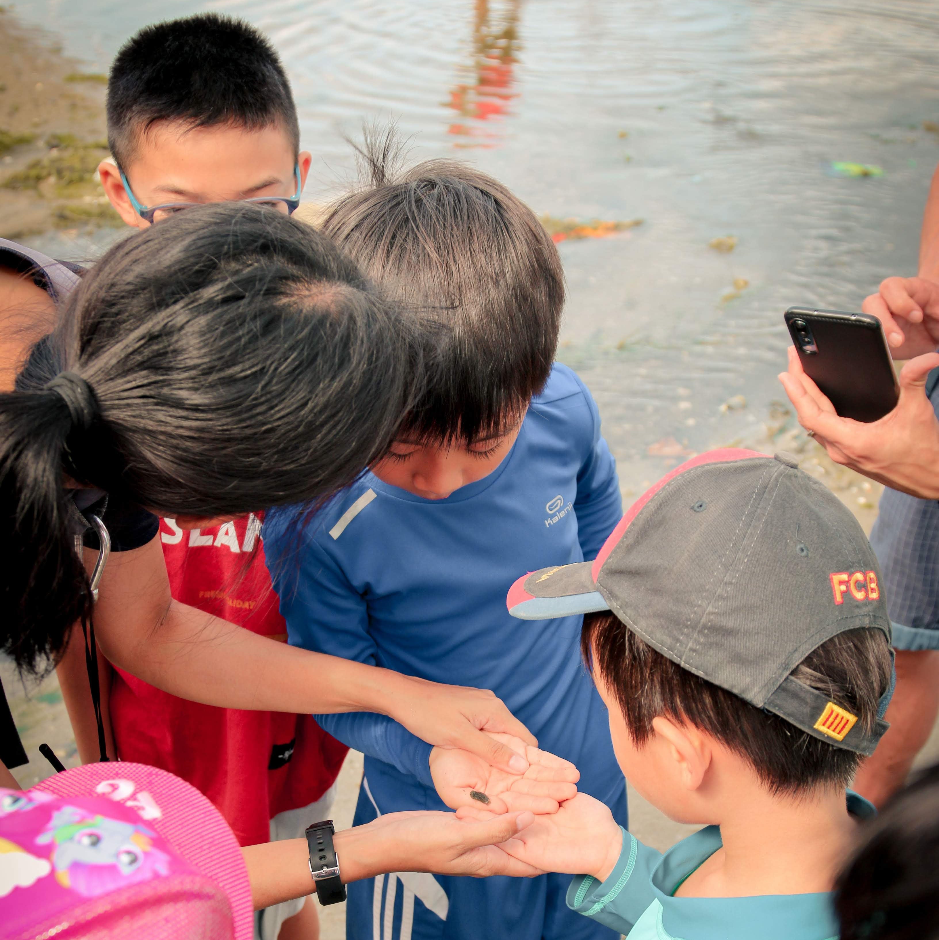 Marine & Nature Discovery Adventure (Pasir Ris Intertidal)