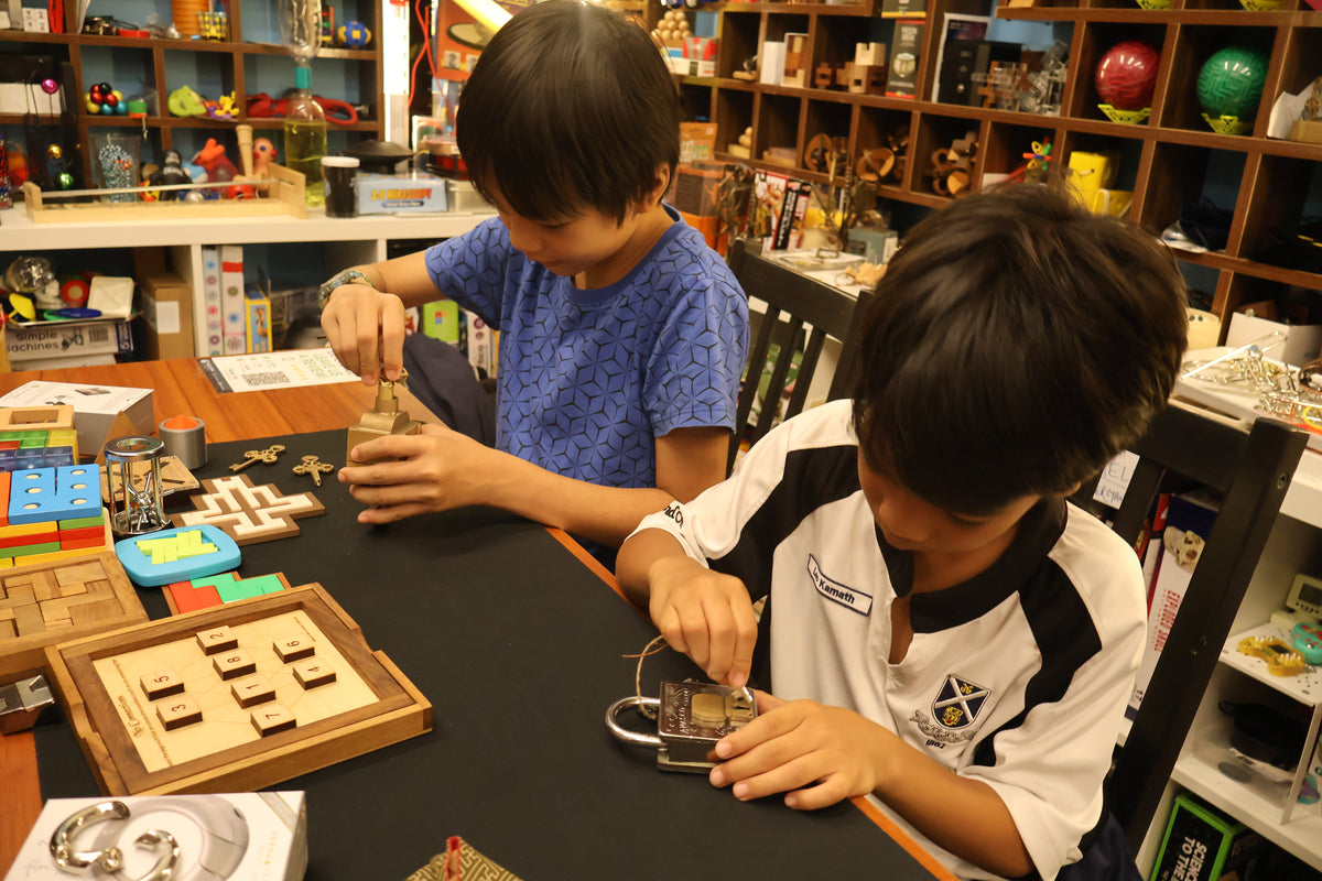 Guided Puzzle Exploration & Logic Challenge Workshop for Kids