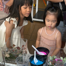 Build Your Own Moss Terrarium + Goldfish Scooping