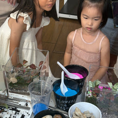 Build Your Own Moss Terrarium + Goldfish Scooping