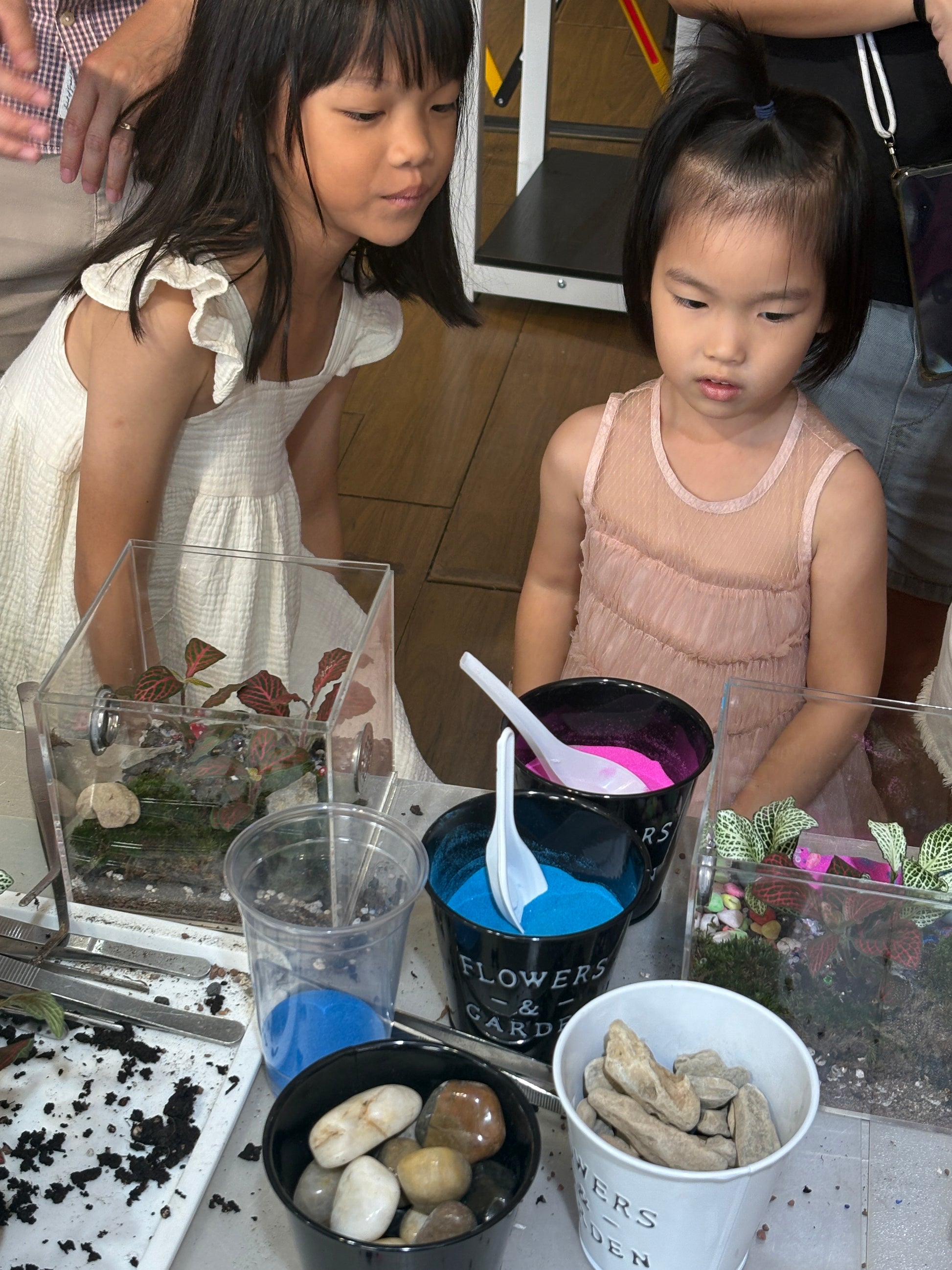 Build Your Own Moss Terrarium + Goldfish Scooping