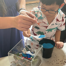 Build Your Own Moss Terrarium + Goldfish Scooping