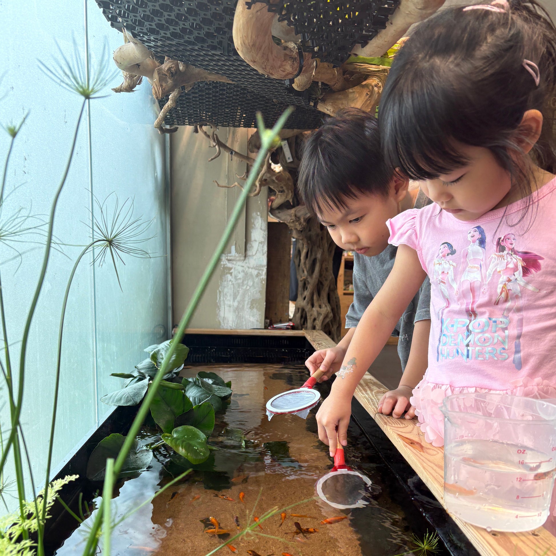 Build Your Own Moss Terrarium + Goldfish Scooping