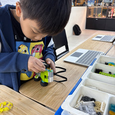 Stem Discovery for Explorers (Ages 7 to 8)