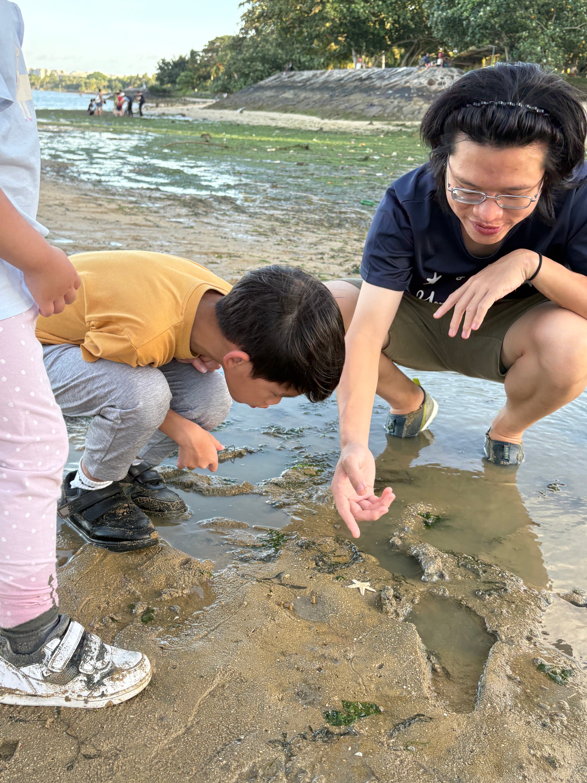 Marine & Nature Discovery Adventure (Pasir Ris Intertidal)