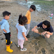 Marine & Nature Discovery Adventure (Pasir Ris Intertidal)