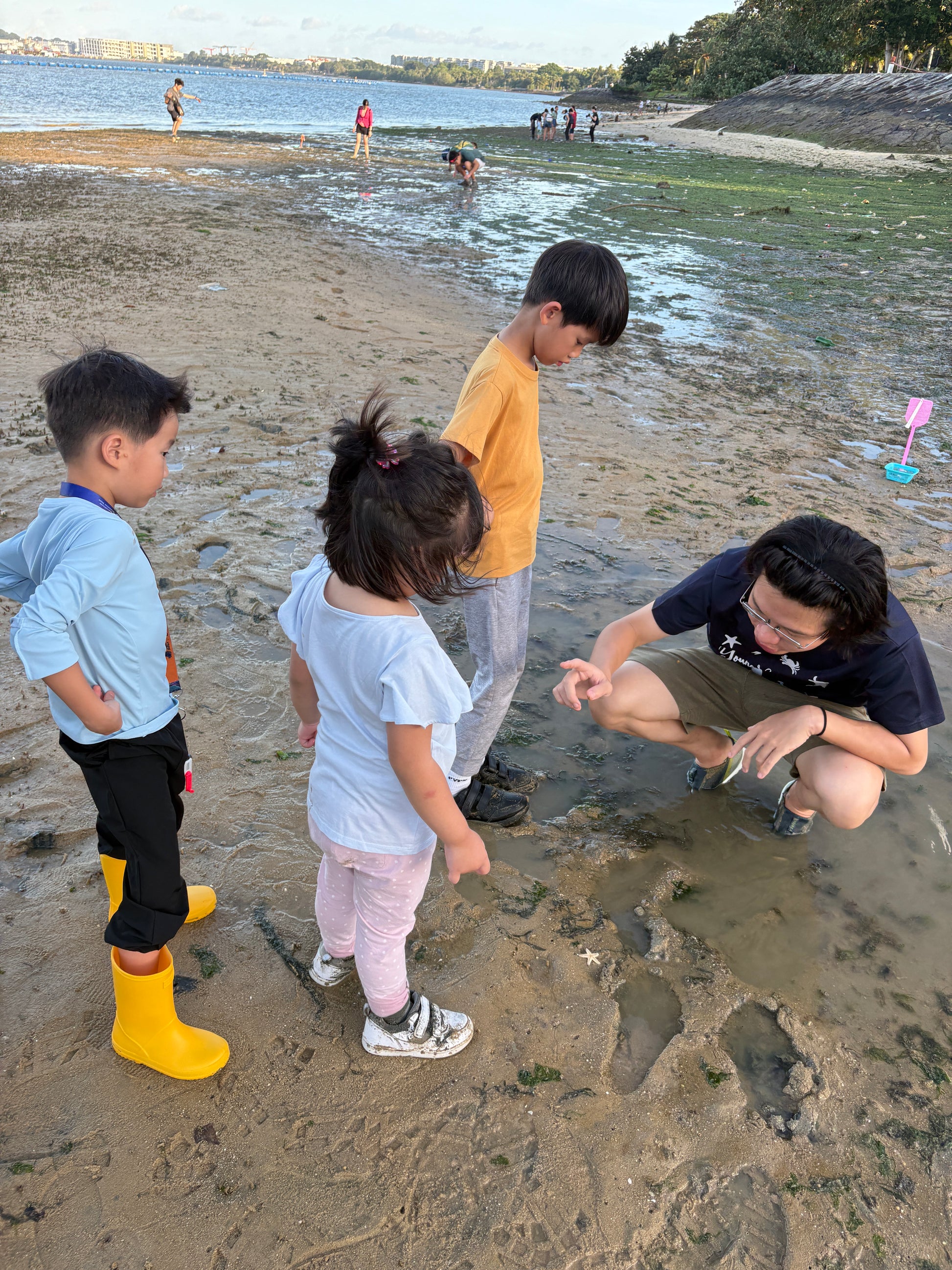 Marine & Nature Discovery Adventure (Pasir Ris Intertidal)