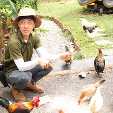 Learn to Raise Your Own Chickens (No Farm Needed!)