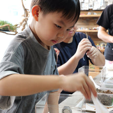Fun with Rolly Pollies - Build Your Own Insectarium