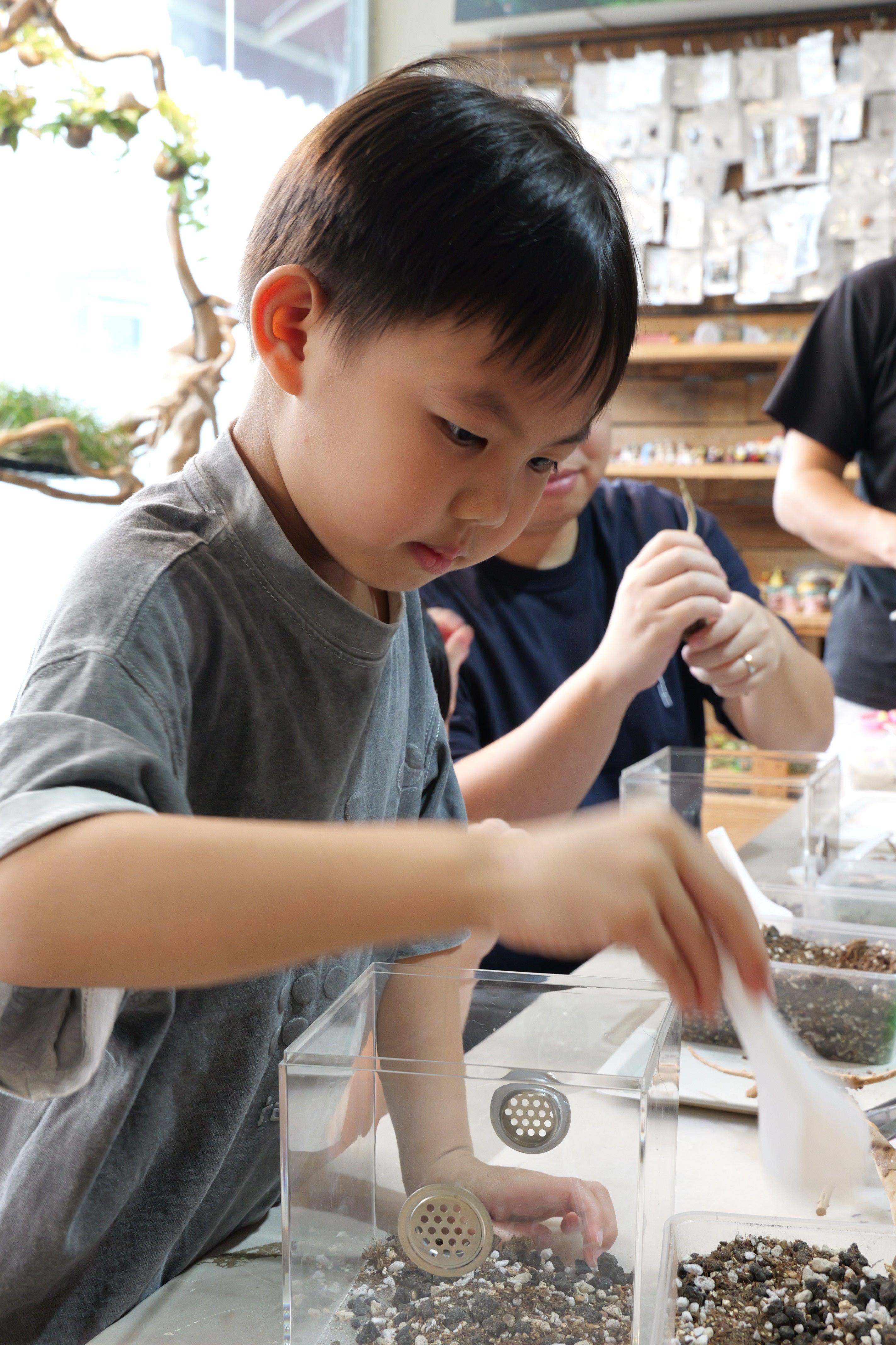 Fun with Rolly Pollies - Build Your Own Insectarium