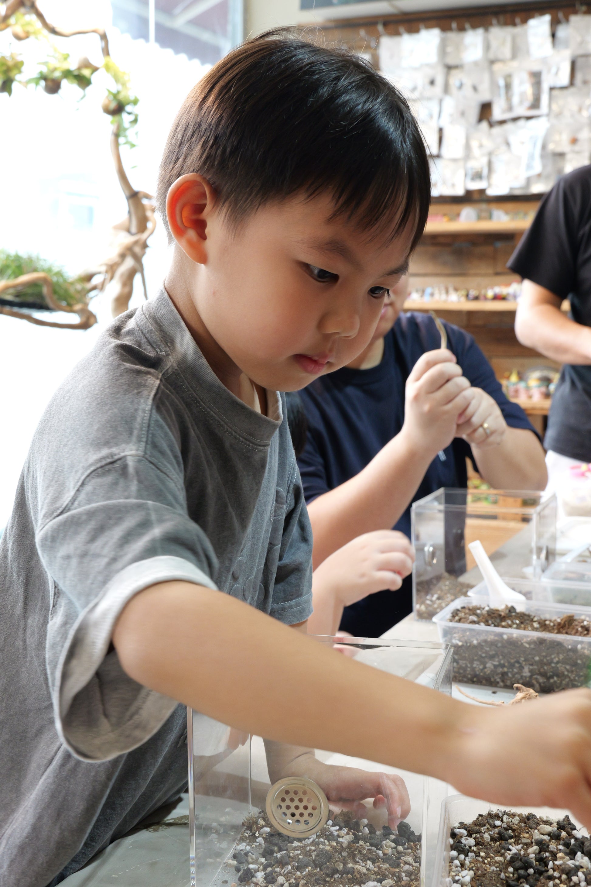 Fun with Rolly Pollies - Build Your Own Insectarium